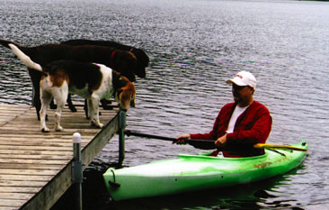 Dogs having fun on the lake